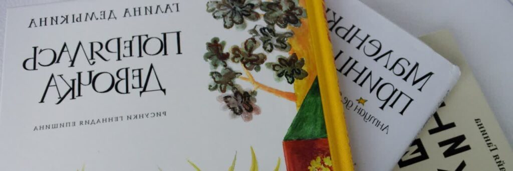 обложка книги "Потерялась девочка"